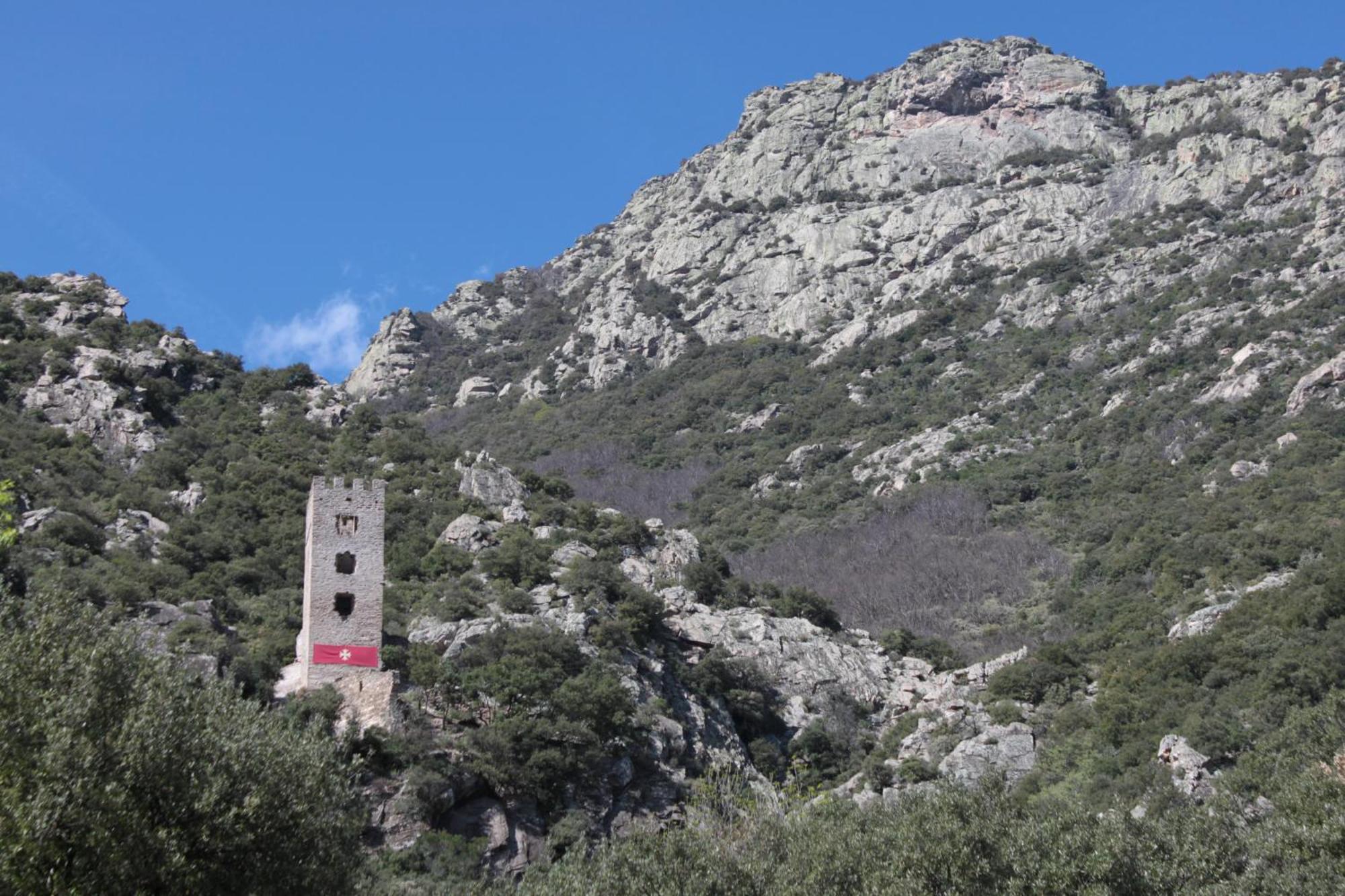 Chateau De Colombieres Sur Orb Værelse billede