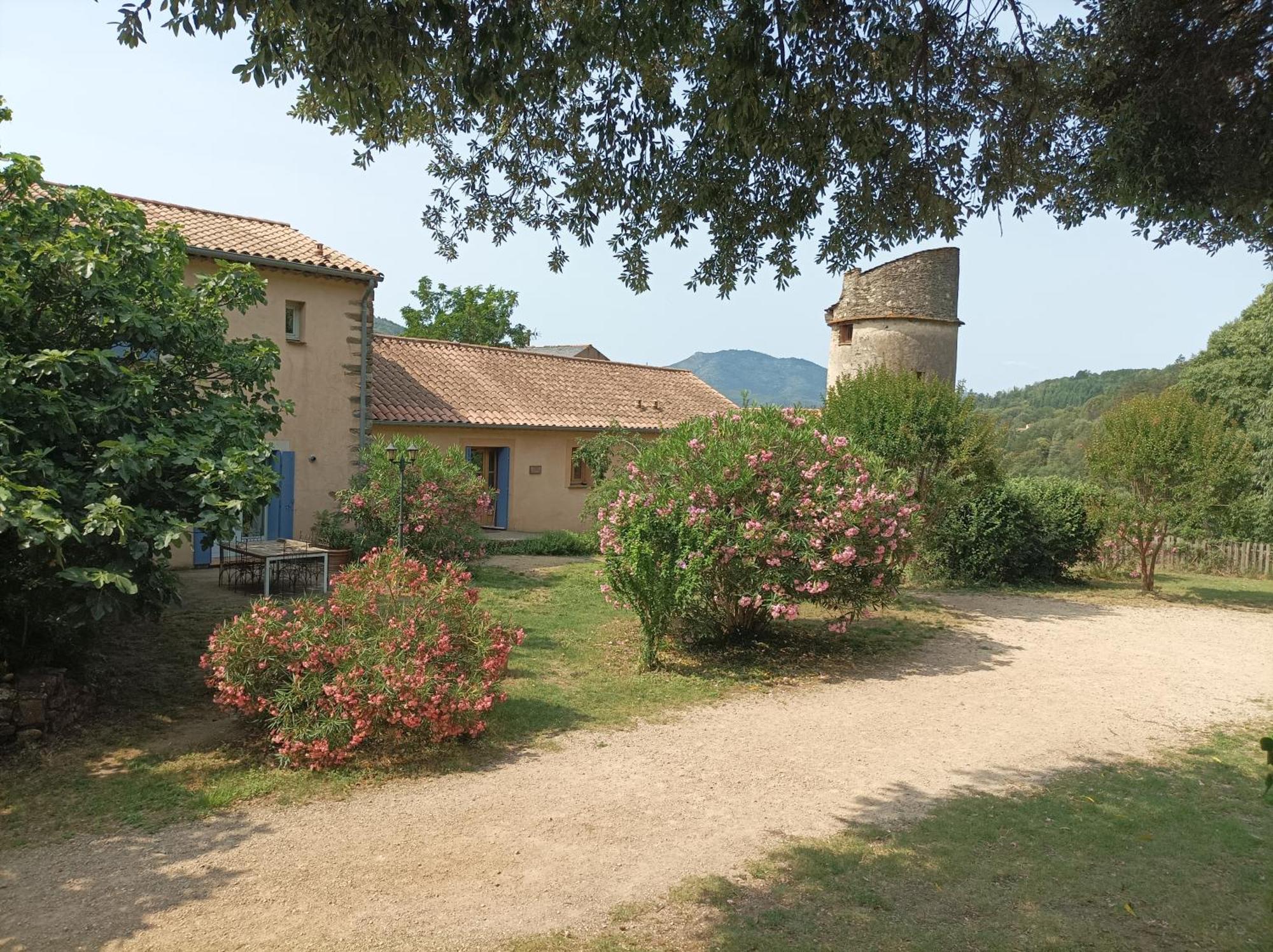 Chateau De Colombieres Sur Orb Eksteriør billede