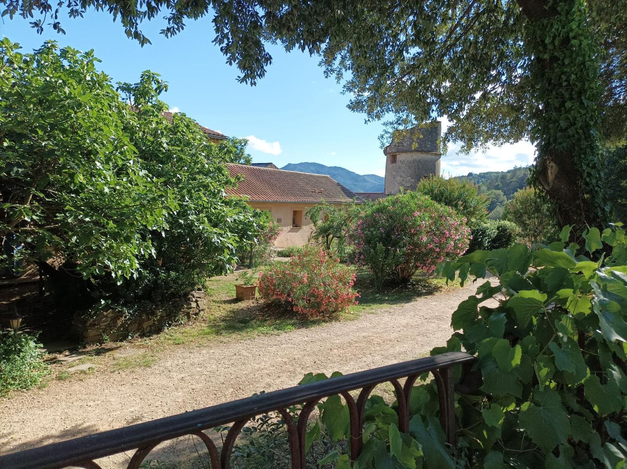 Chateau De Colombieres Sur Orb Eksteriør billede